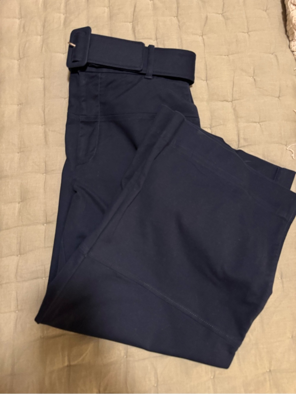 Everlane - The Cotton Belted Structured Pant - Picture 3 of 4